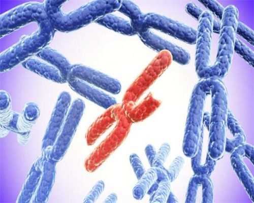 供卵试管婴儿黄体期支持治疗，哪一种适合你？郑州试管助孕机构来分析