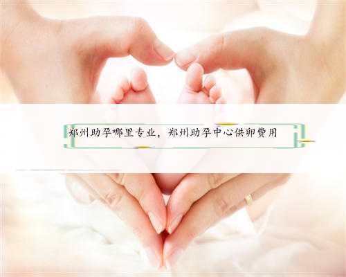 郑州助孕哪里专业，郑州助孕中心供卵费用